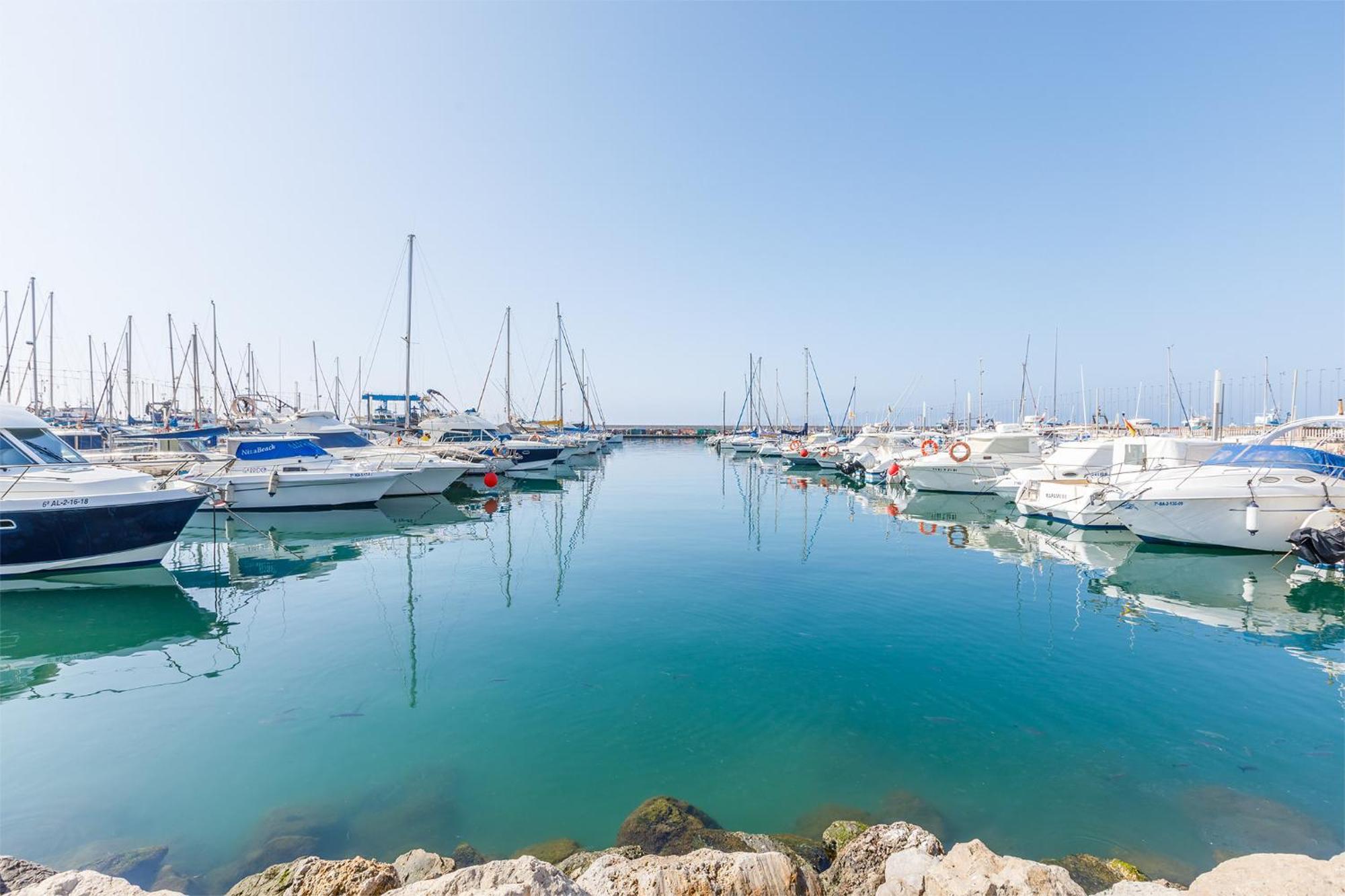 A&N Seaport Caleta Daire Caleta De Velez Dış mekan fotoğraf